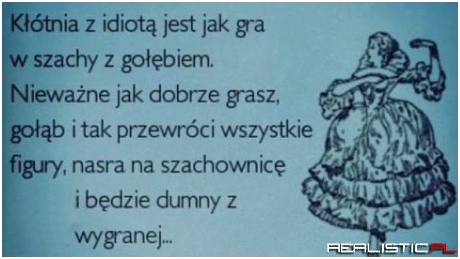 Kłótnia z idiotą