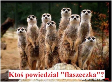 Ktoś powiedział...