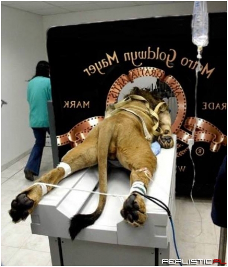 Kulisy znanej produkcji..