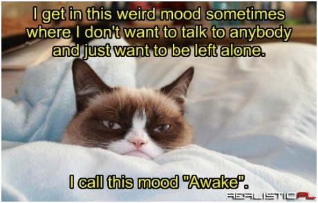 Leave Now in Peace or Pieces