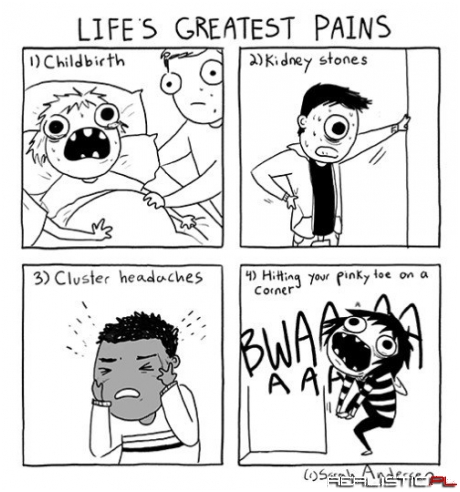Life's Greatest Pains