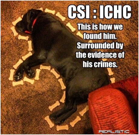 Looks Like Someone's Gonna Have More THan One Bone To Pick Later