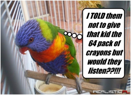 Looks Pretty Good Though Really