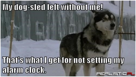 My dog-sled left without me!