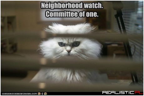 Neighborhood watch