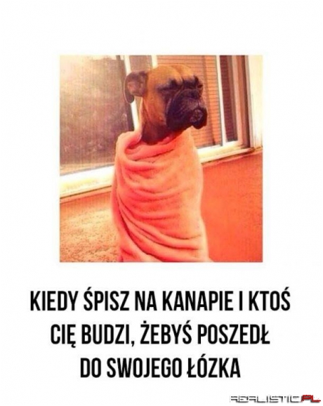 Nie inaczej