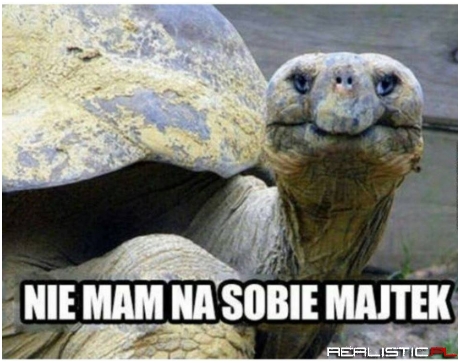 Nie mam na sobie majtek
