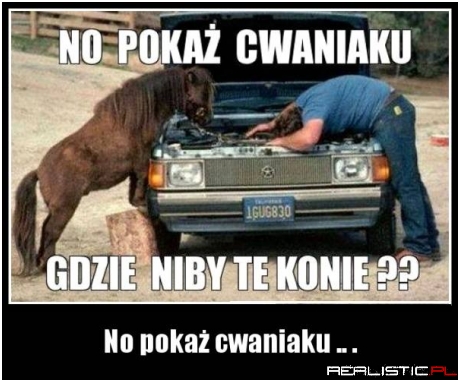 No pokaż cwaniaku