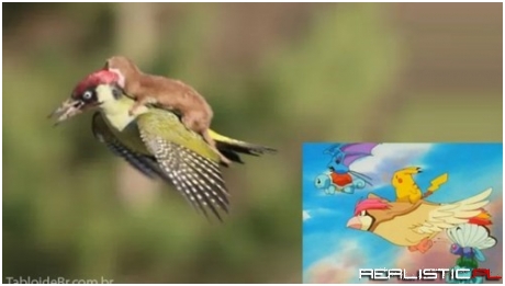 Nothing Strange Here