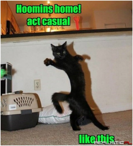 Okay, Maybe I Need To Work On It