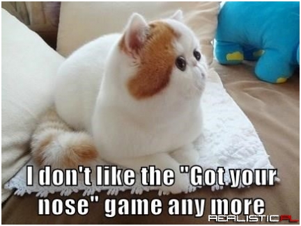 Or My Pre-Dinner Snack