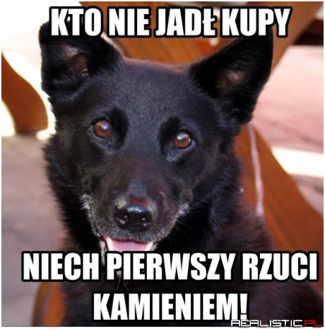 Padłem xD