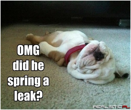 Please Fill to 15 Bacons Per Square Inch