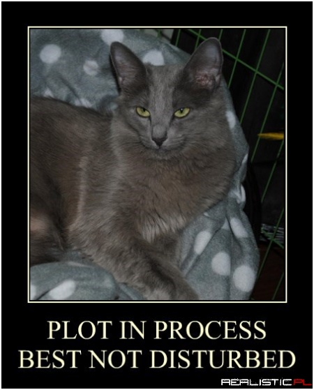 PLOT IN PROCESS BEST NOT DISTURBED