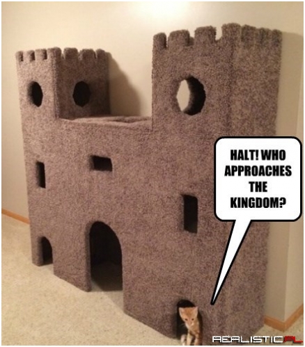 Present the King With a Herring Tribute!