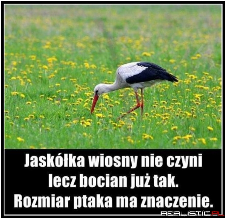 Rozmiar ptaka ma znaczenie ;)