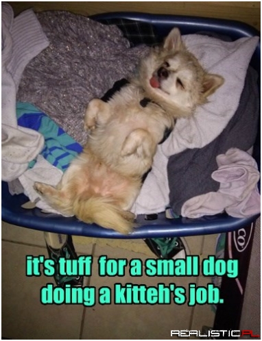 Someobody Has to Do It