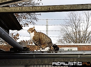 Sorry, I'm Off to My Home Planet