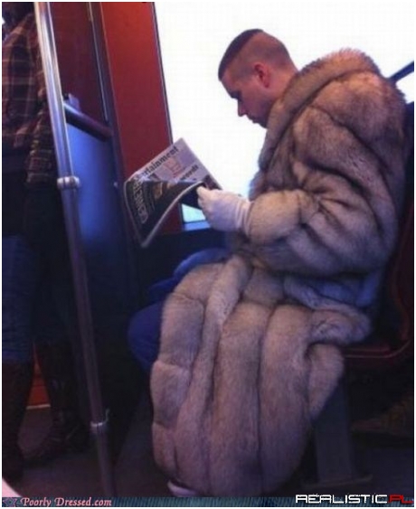 That Fur Used to Belong to the World's Largest Shar Pei