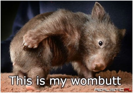 That it is Little Dude, That it is