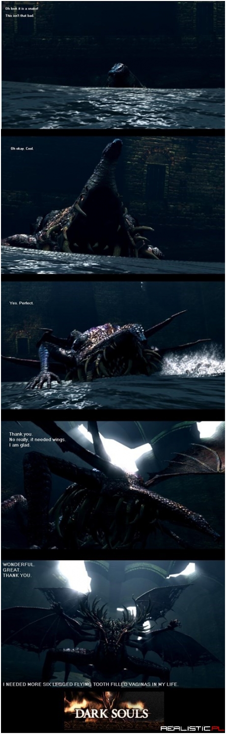 The Entire Dark Souls Series in a Nutshell