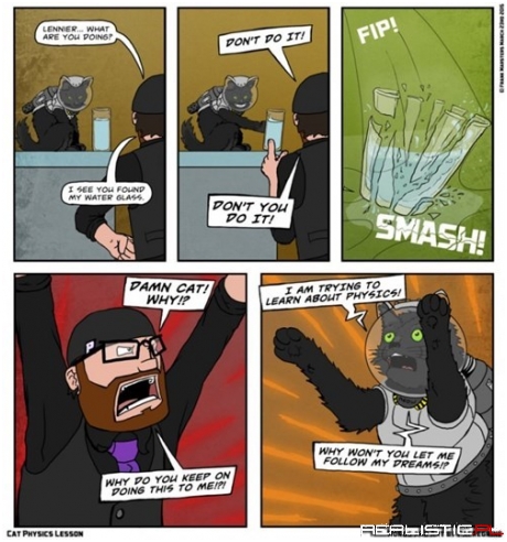 The Explanation Why Some Cats Push Things Around