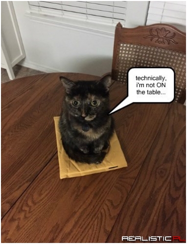 The If I Fits Solution to Stupid Human Rules