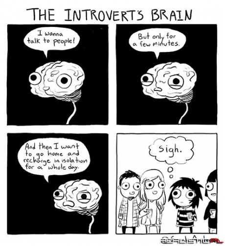 The Introvert's Brain
