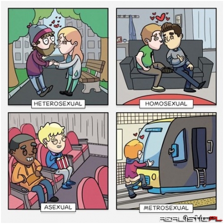 The Spectrum of Human Sexuality