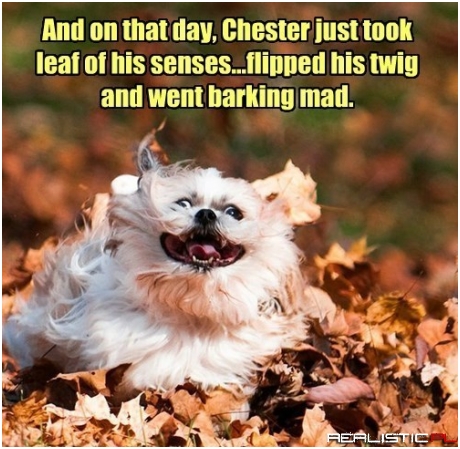 They Say it Runs in His Family Tree