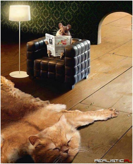 Tymczasem w mysiej dziurze...