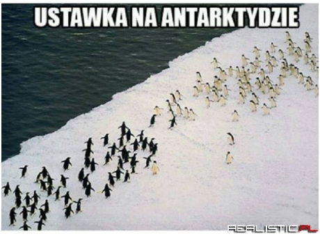 Ustawka