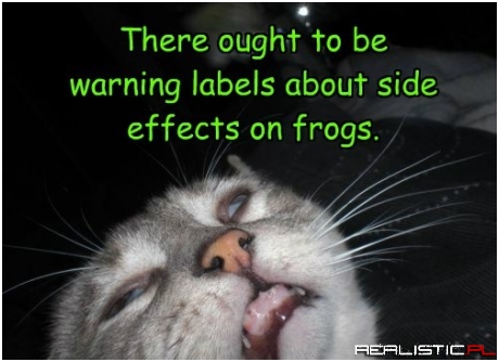 Way More Intense Than Nip