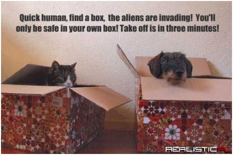 We Need Your Thumbs For the New Colony