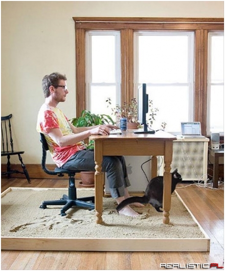 Well, That Backfired...