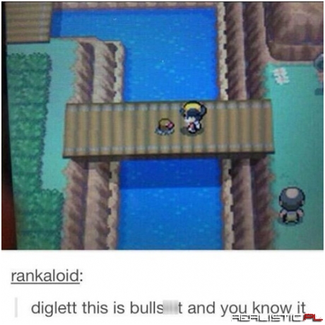 What are You, a Woodpecker