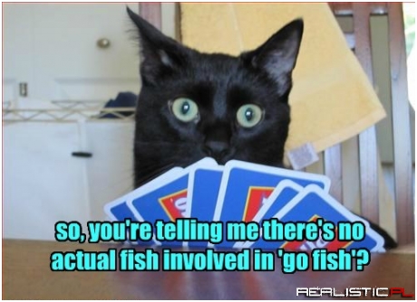 What Is Wrong With You Humans