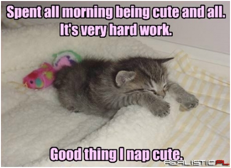 When I Wake Up Cute, I'm Gonna Wanna Eat Cute!