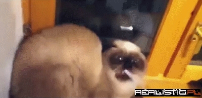 When You're Smoking Your Last Cig And People Ask For One