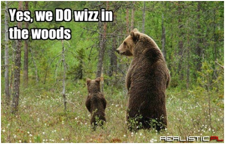 Where Am I Gonna Find a Little Bear's Room Out Here