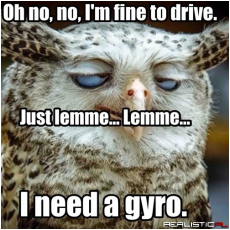 Whooooooo Took My Keys