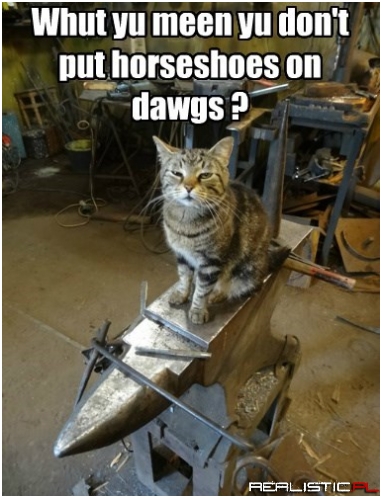 Why Are They So Clumsy Then