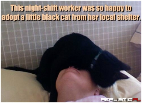 You Can Stay Forever