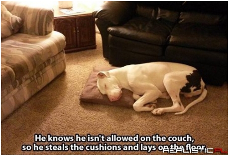 You Can't Be Mad at That