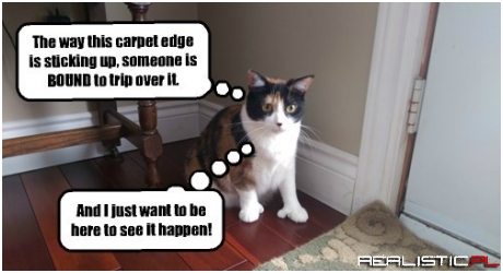 You Find Your Entertainment Your Way and I'll Find Mine My Way