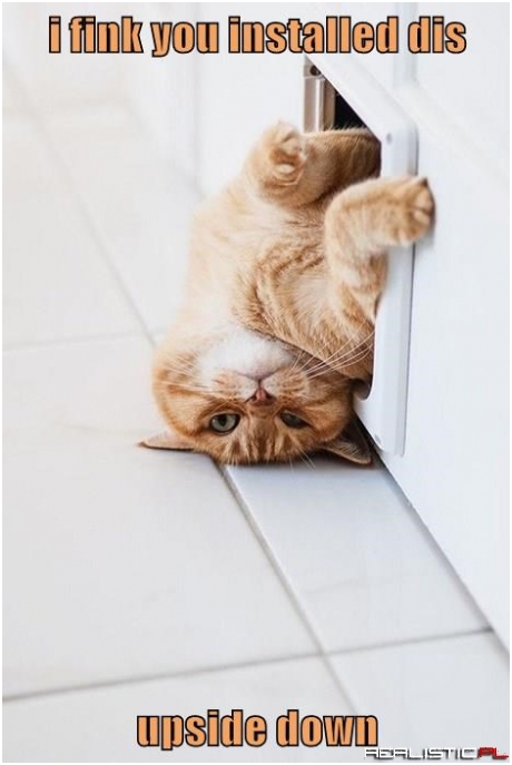 You Had One Job, Human