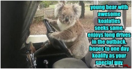 You Shoud Have No Koalms About Dating This Dude