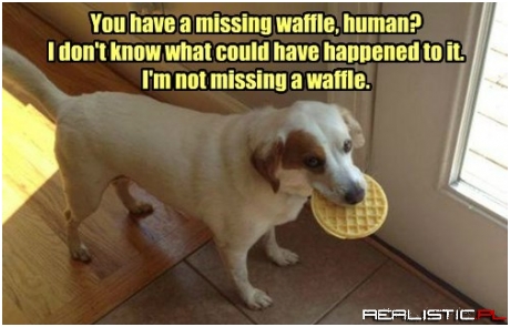 You Should Keep it in Your Mouth