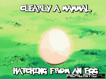 Your Logic Has No Power Here