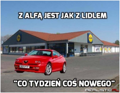 Z Alfą jest jak z Lidlem